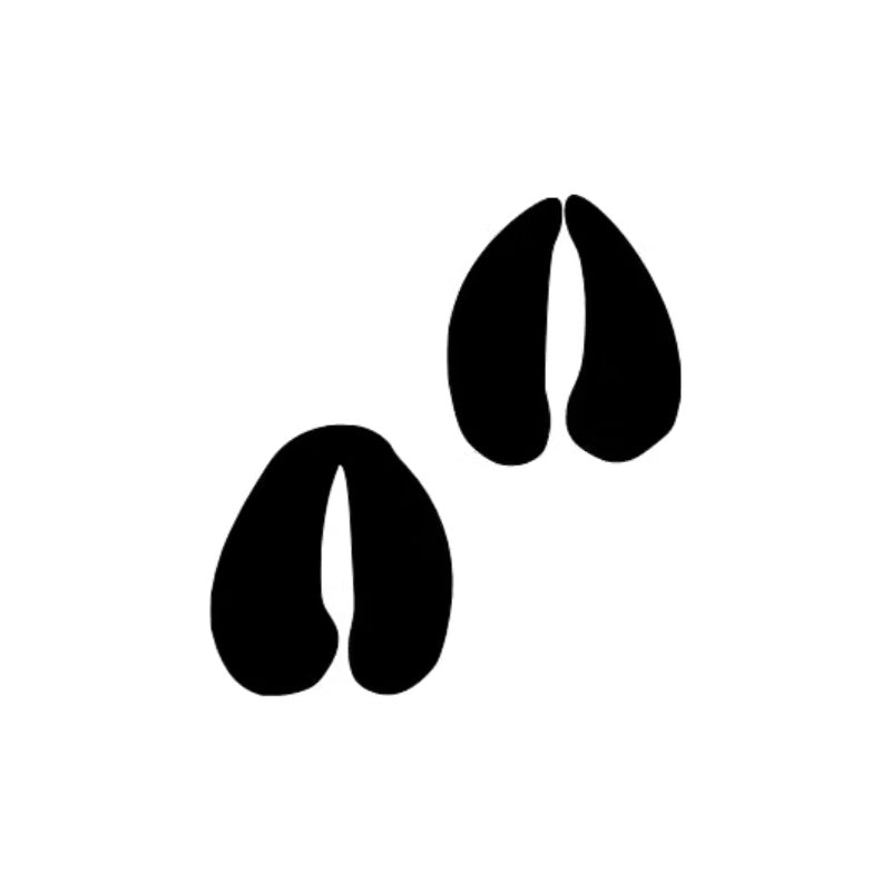 Dekal Älg fotavtryck