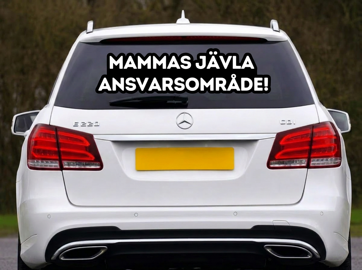 Dekal Mammas jävla ansvarsområde!