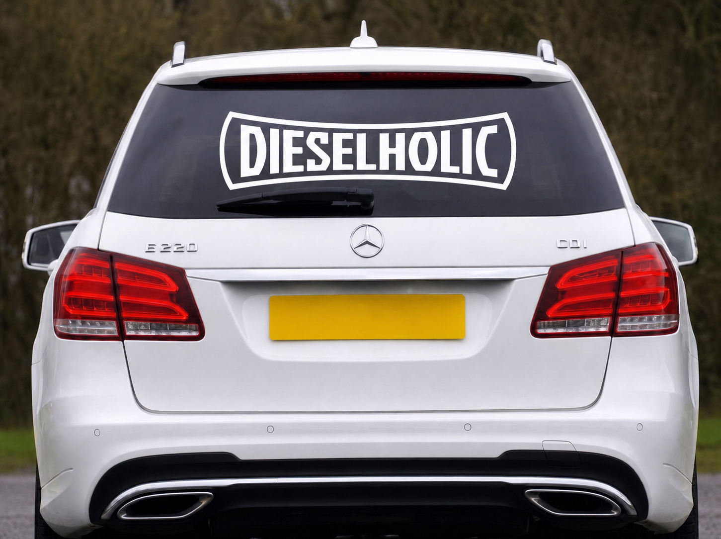 Dekal - DIESELHOLIC