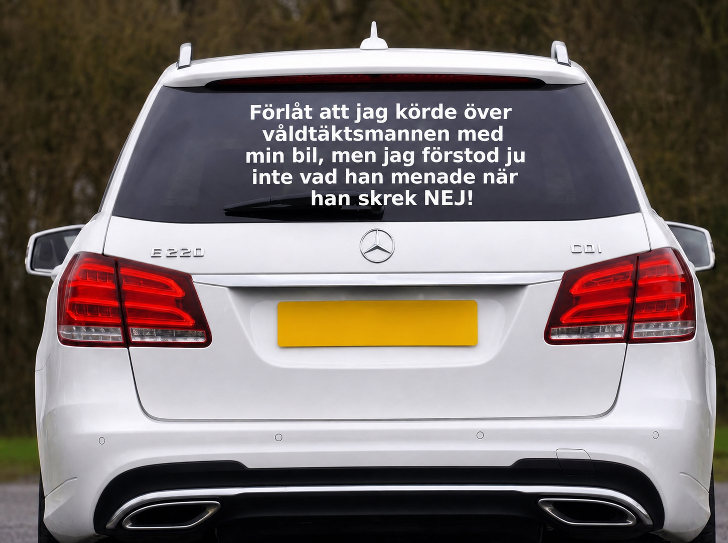 Dekal - Förlåt att jag körde över våldtäktmannen