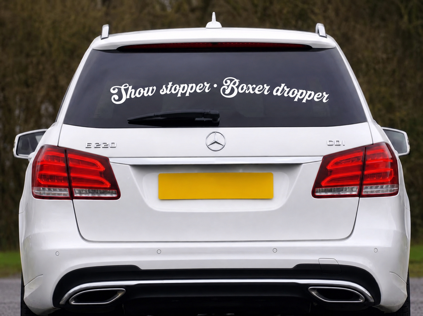 Dekal - Show stopper Boxer dropper