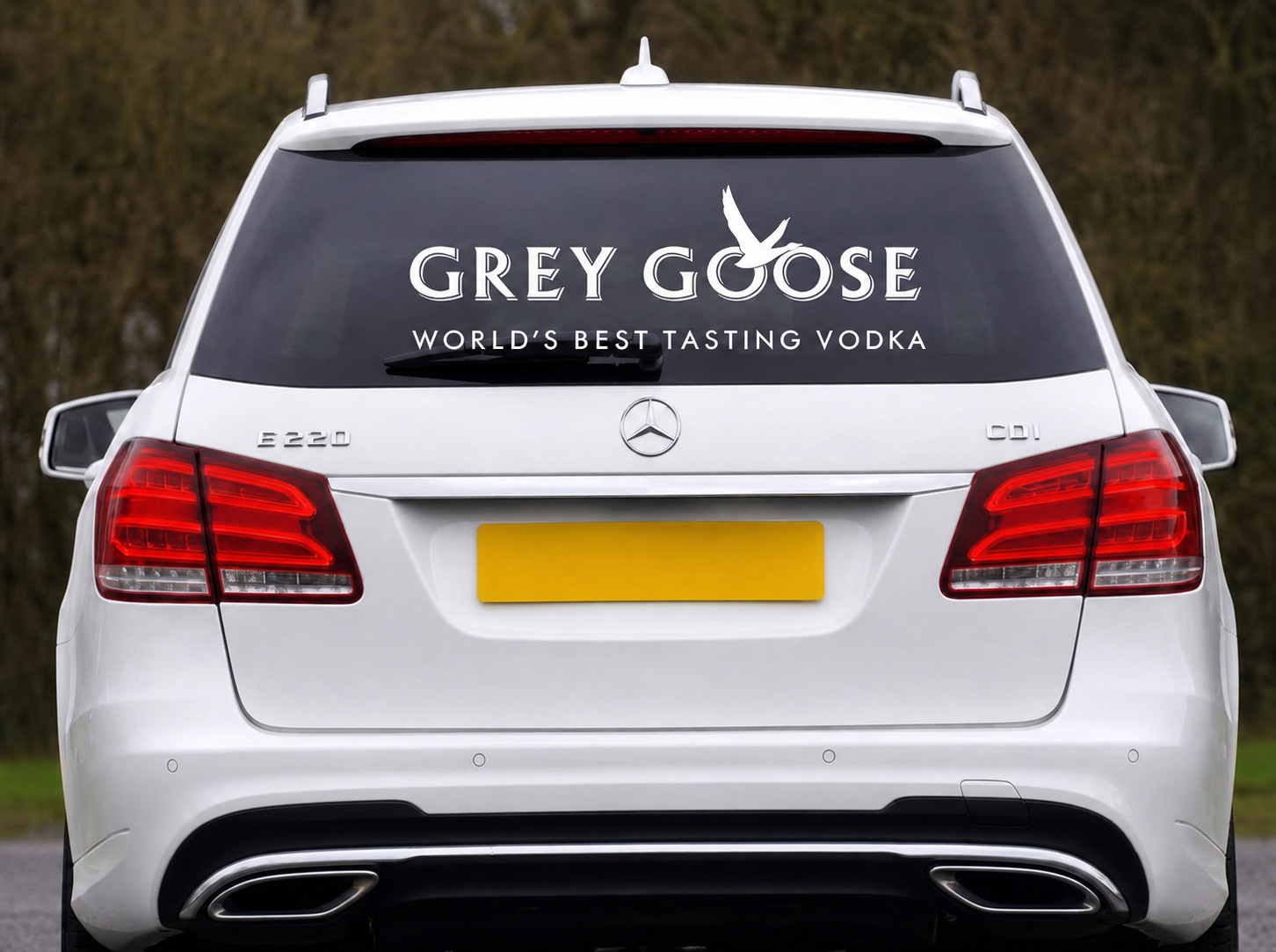 Dekal - GREY GOOSE