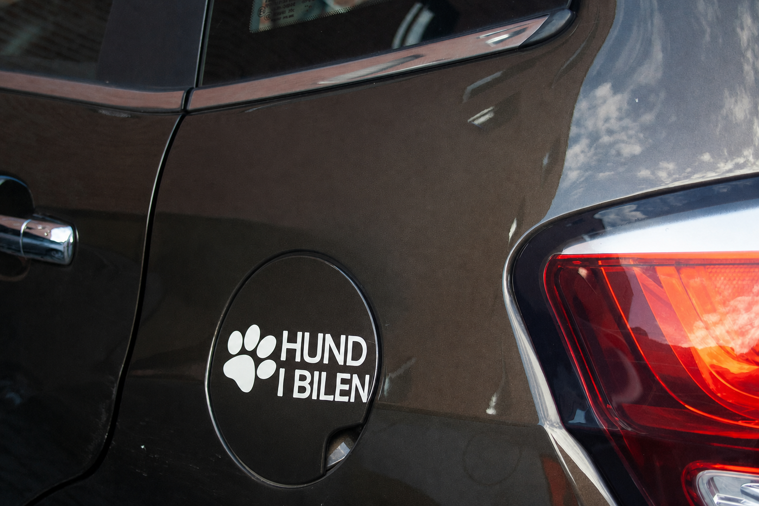 Dekal - HUND I BILEN