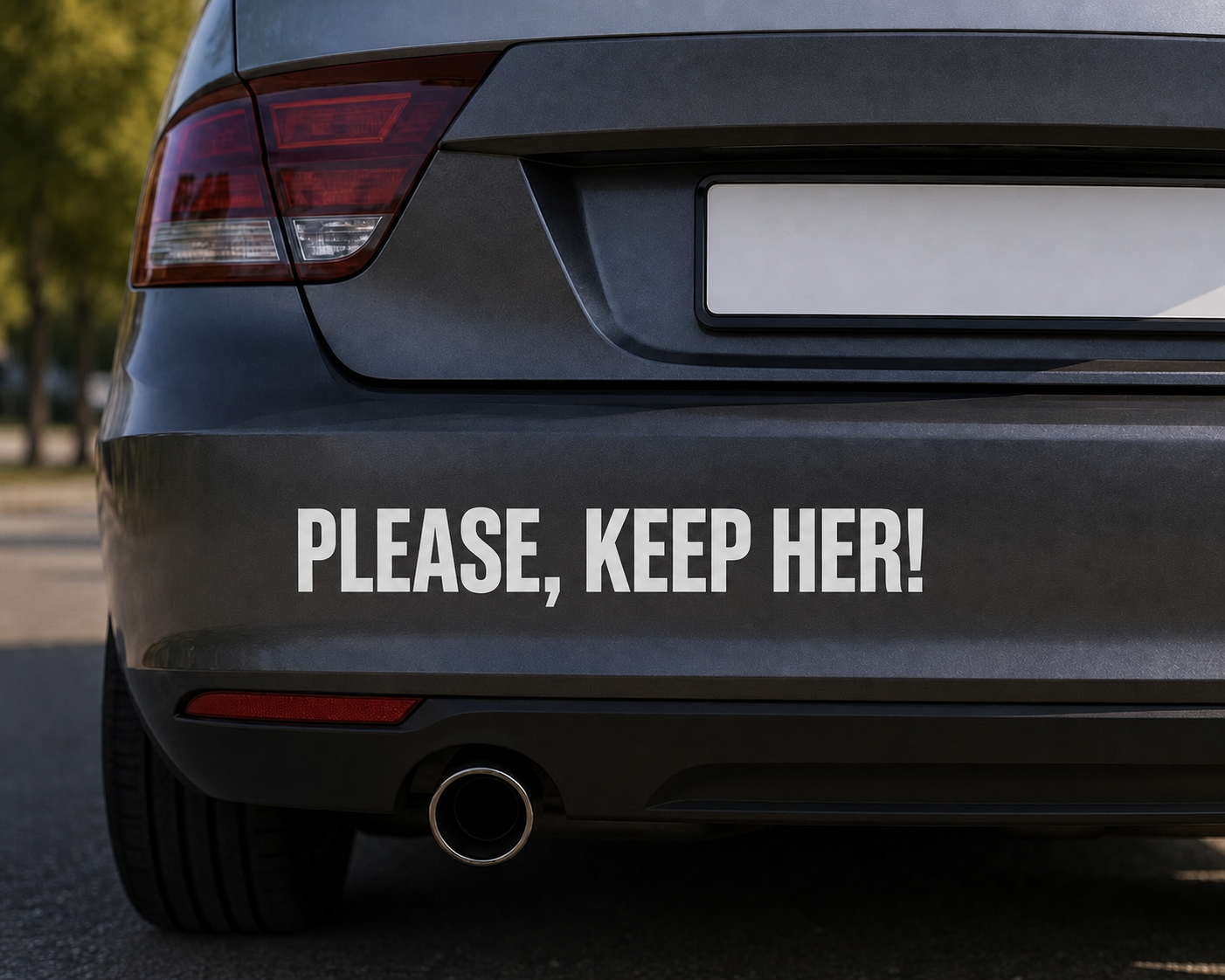 Dekal - PLEASE, KEEP HER!