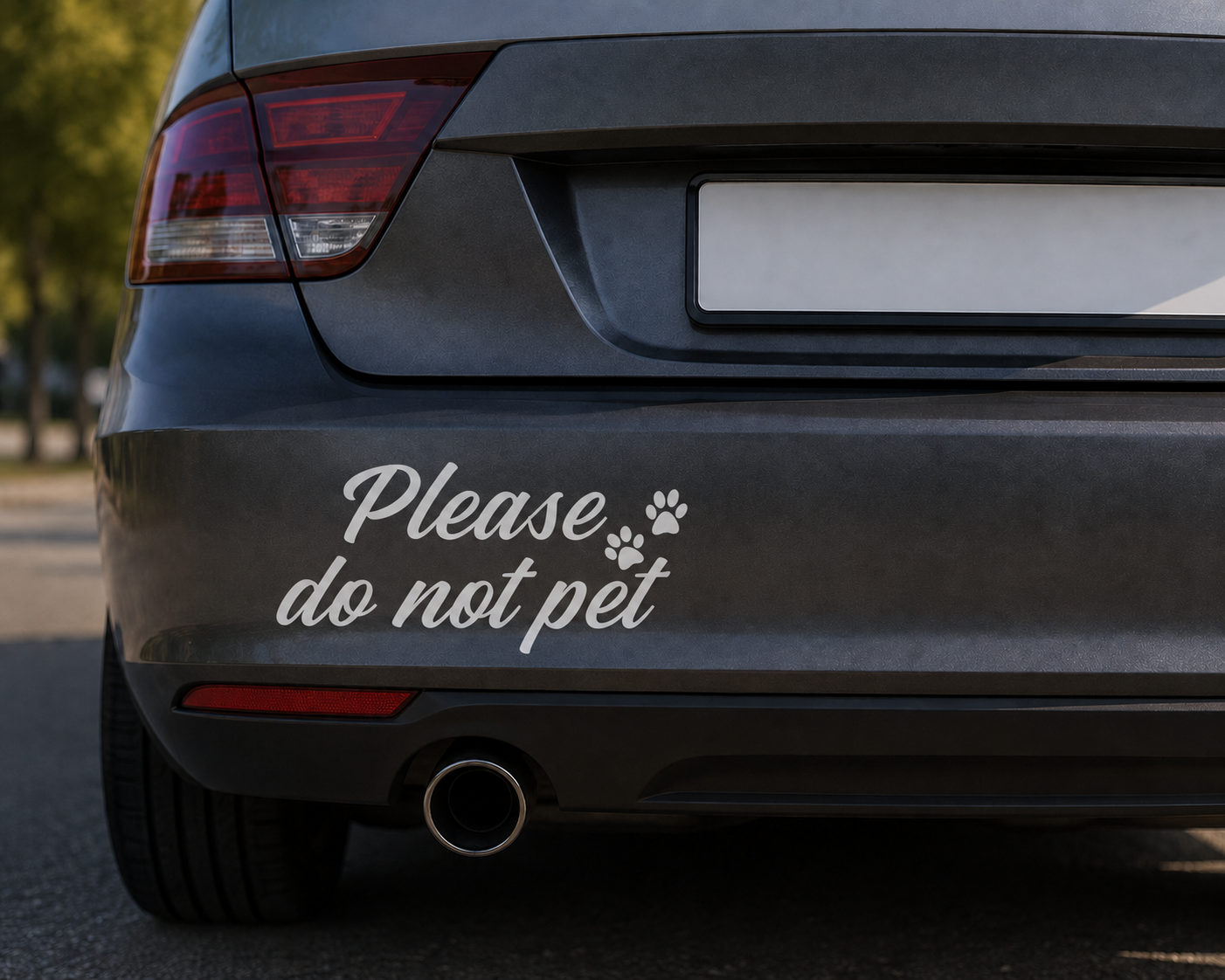 Please do not pet Dekal