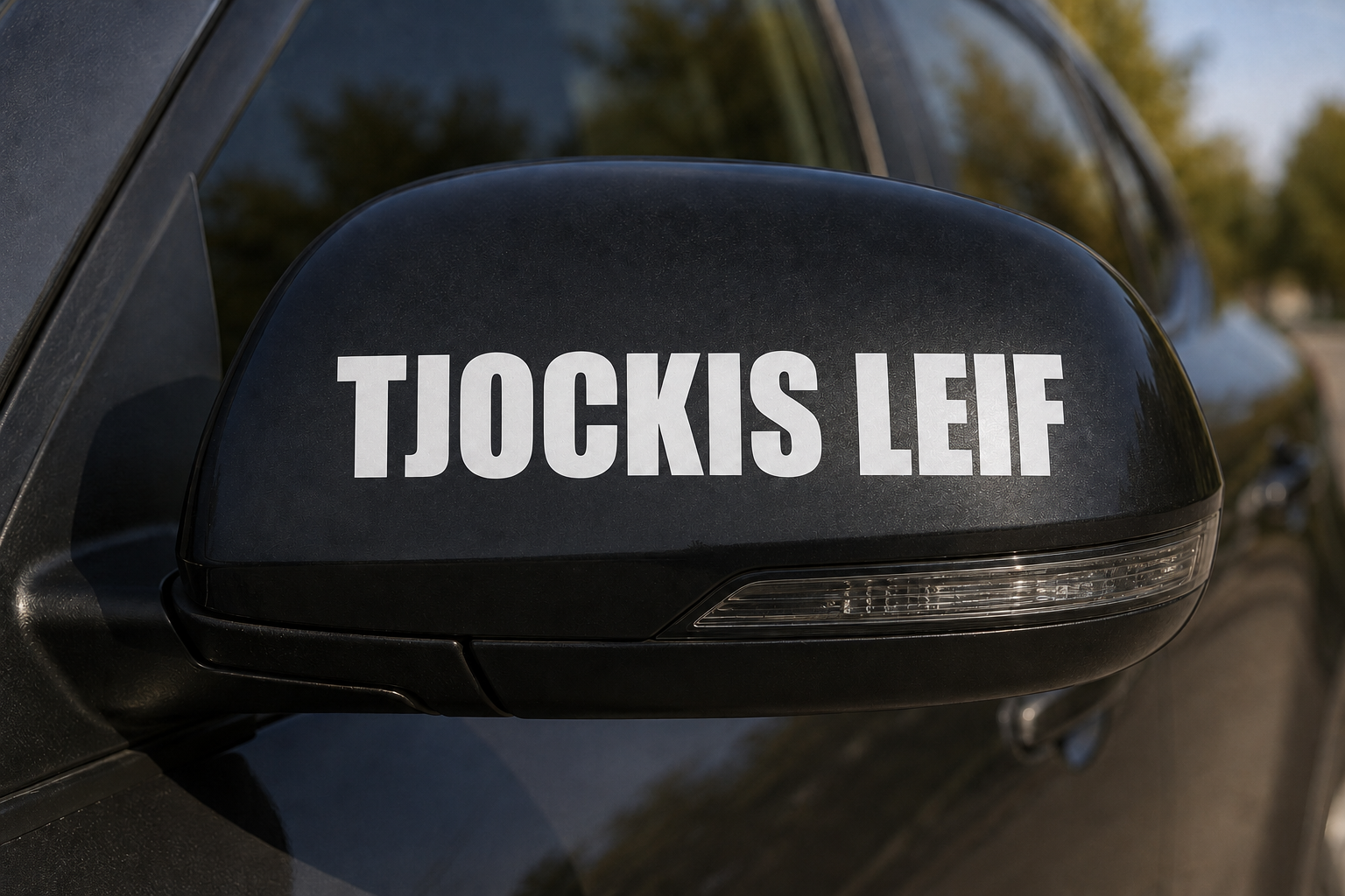 Dekal Tjockis Leif
