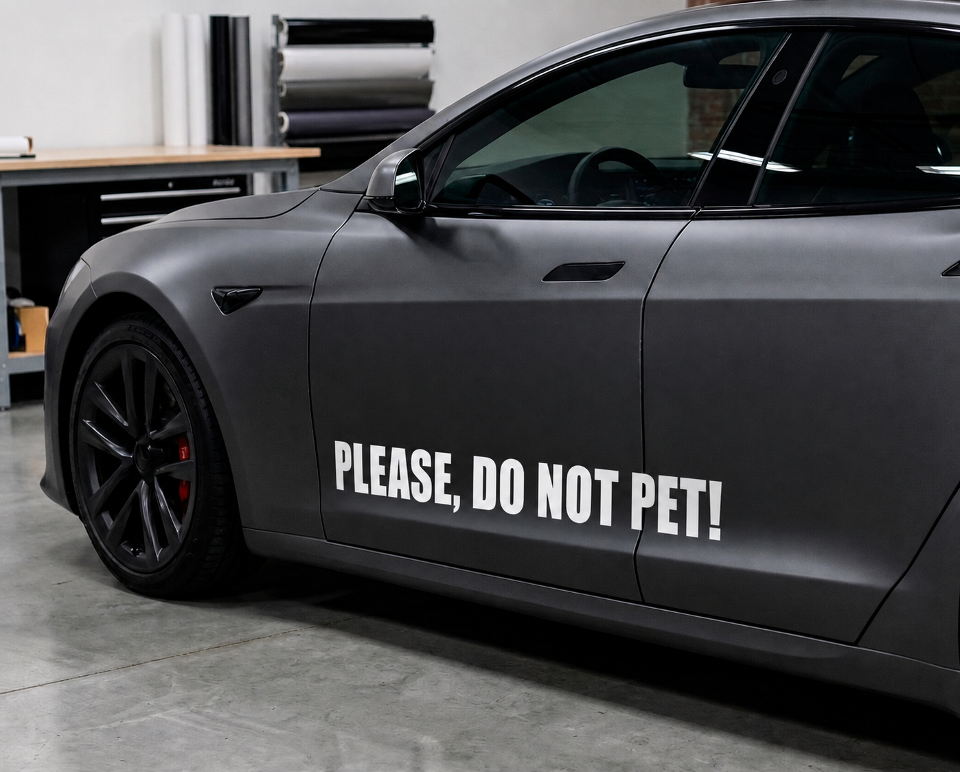 Dekal - PLEASE, DO NOT PET!