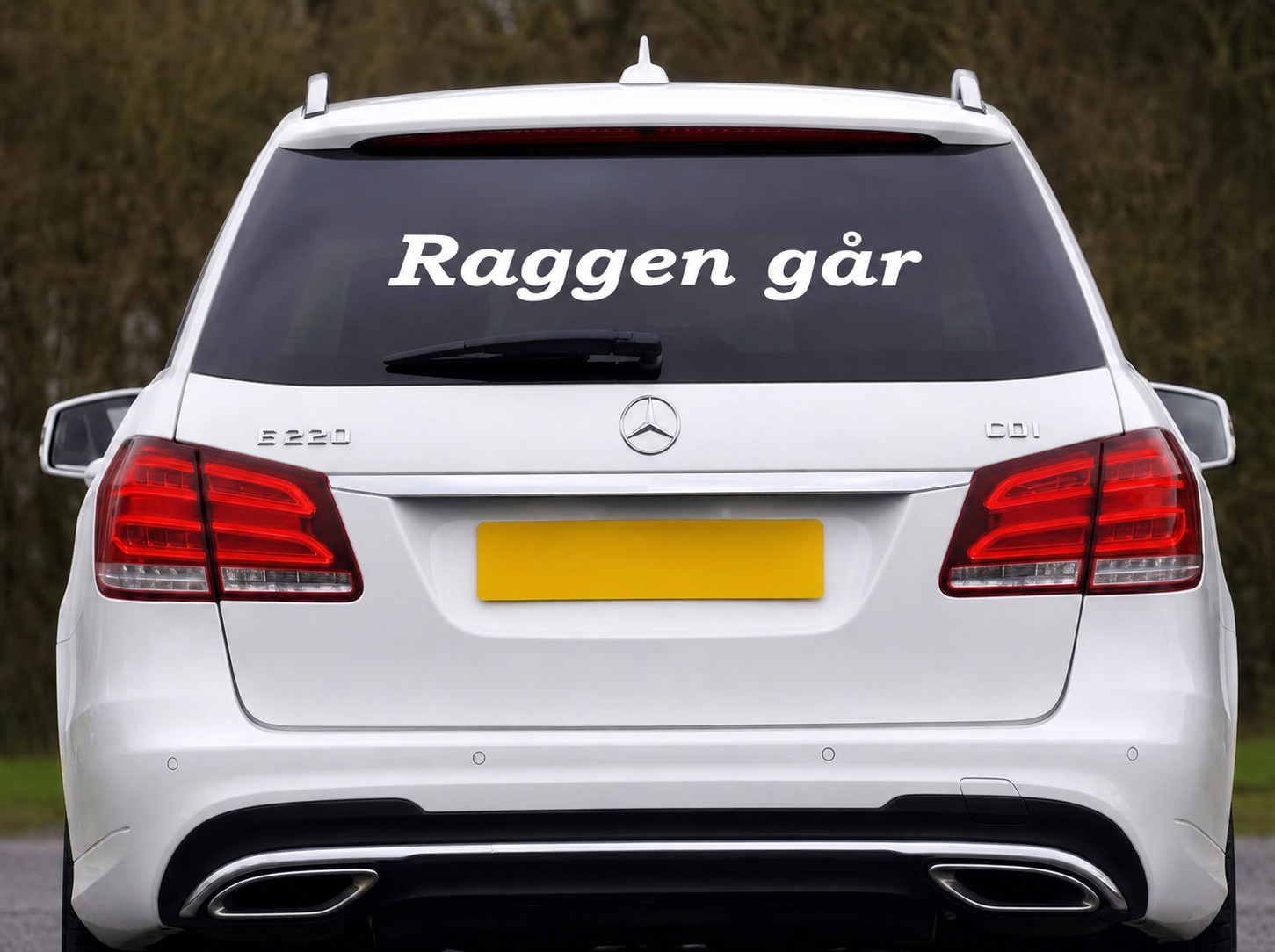 Dekal - Raggen går