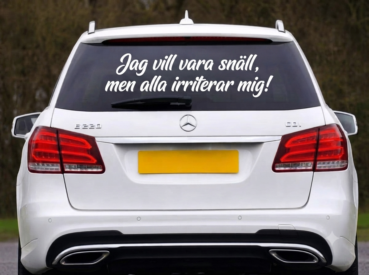 Dekal Jag vill vara snäll, men alla irriterar mig!