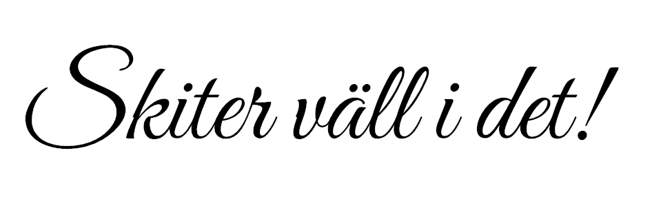 Skiter väll i det dekal