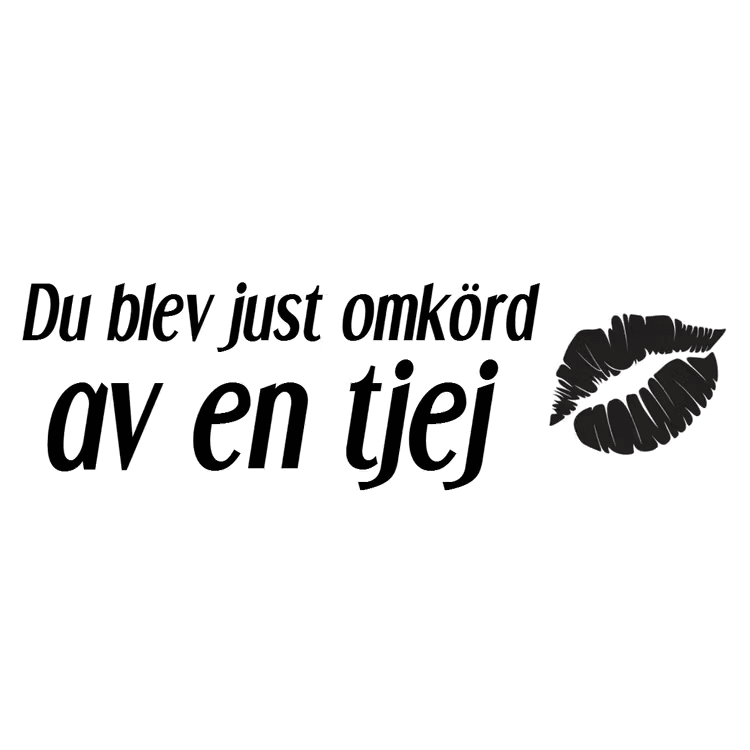 Dekal - Du blev just omkörd av en tjej