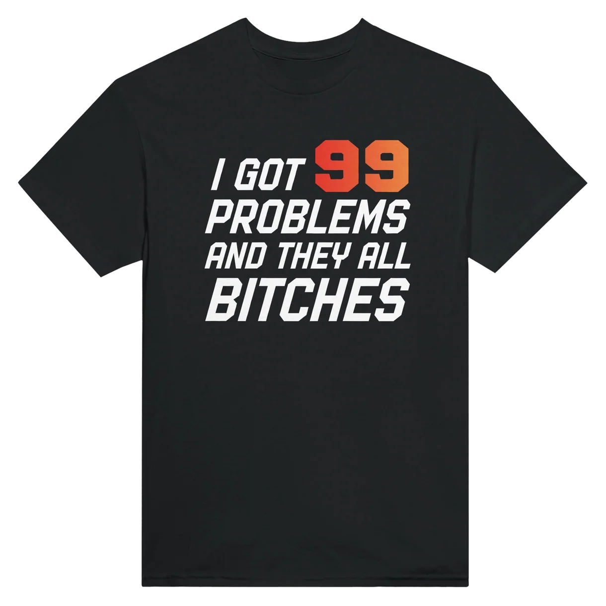 99 Problems, All Bitches T-Shirt