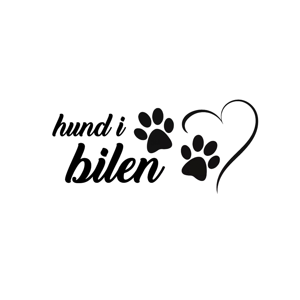 Dekal Hund i bilen