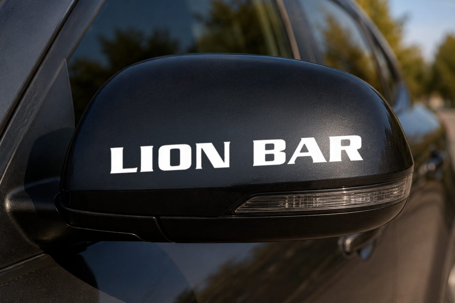 Dekal LION BAR