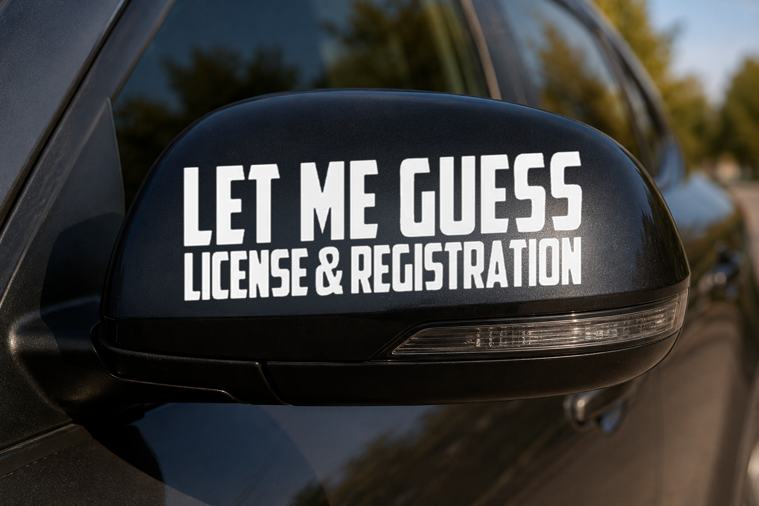 Dekal LET ME GUESS, LICENSE & REGISTRATION