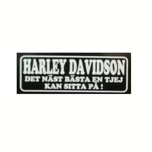 Harley Davidson Är Det Näst Bästa En Tjej Kan Sitta På.