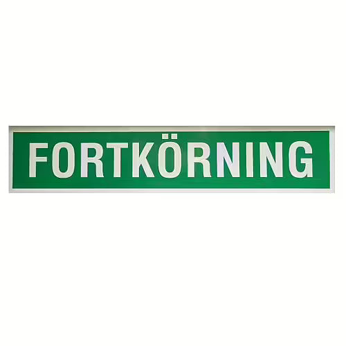 Fortkörning