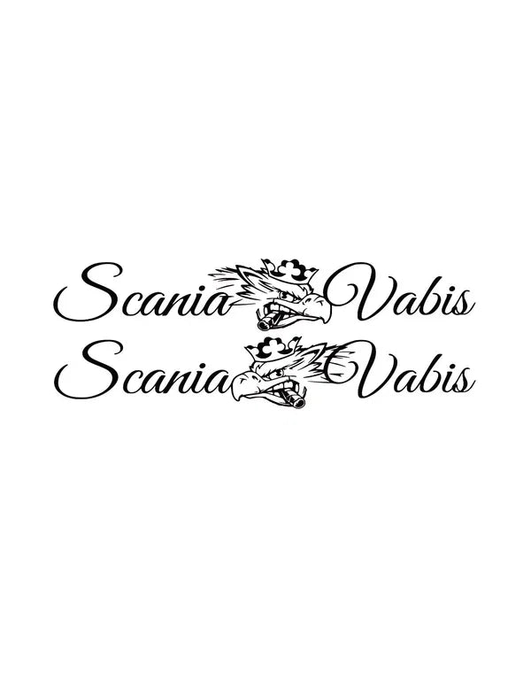 Dekal Scania Vabis 2-Pack