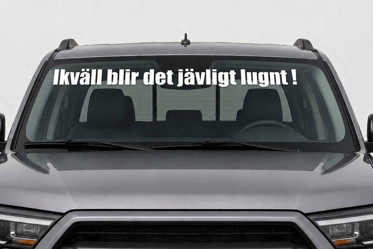 Dekal Ikväll blir det jäävligt lugnt !