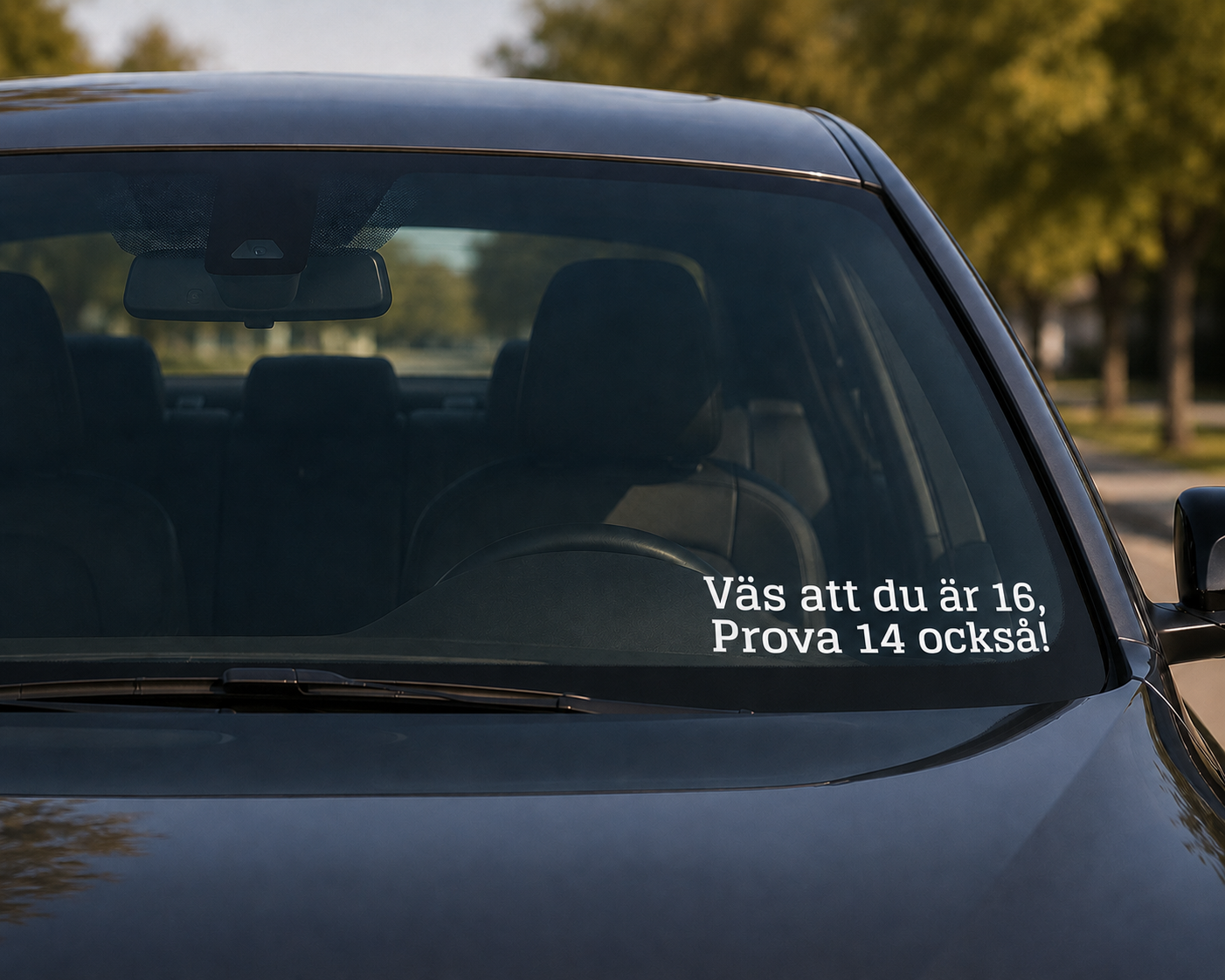 Dekal - Väs att du är 16