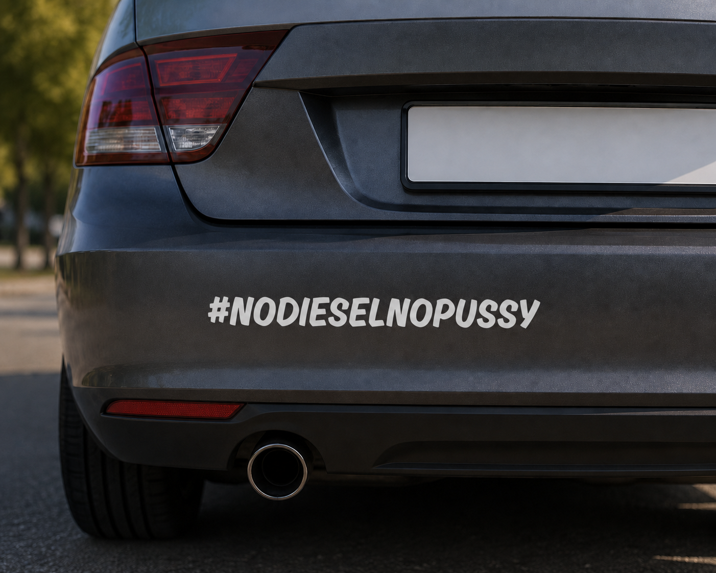 #nodieselnopossy Dekal