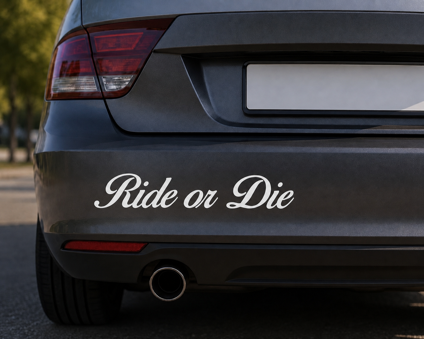 Dekal Ride or Die