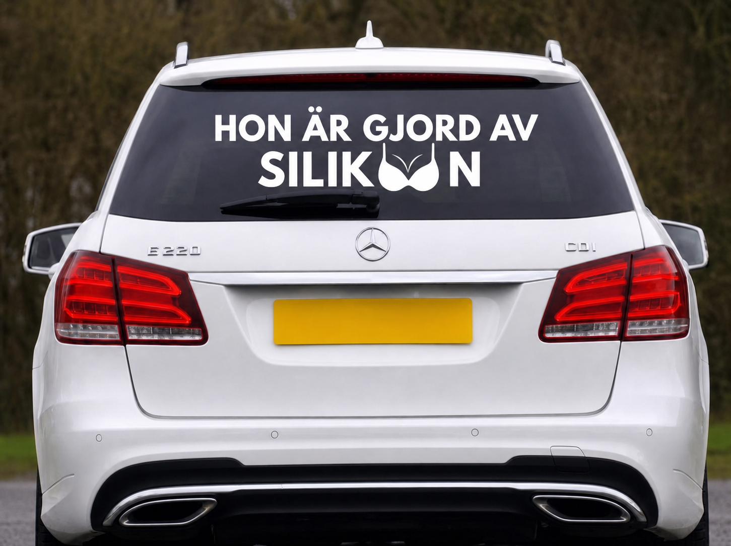 HON ÄR GJORD AV SILIKON Dekal