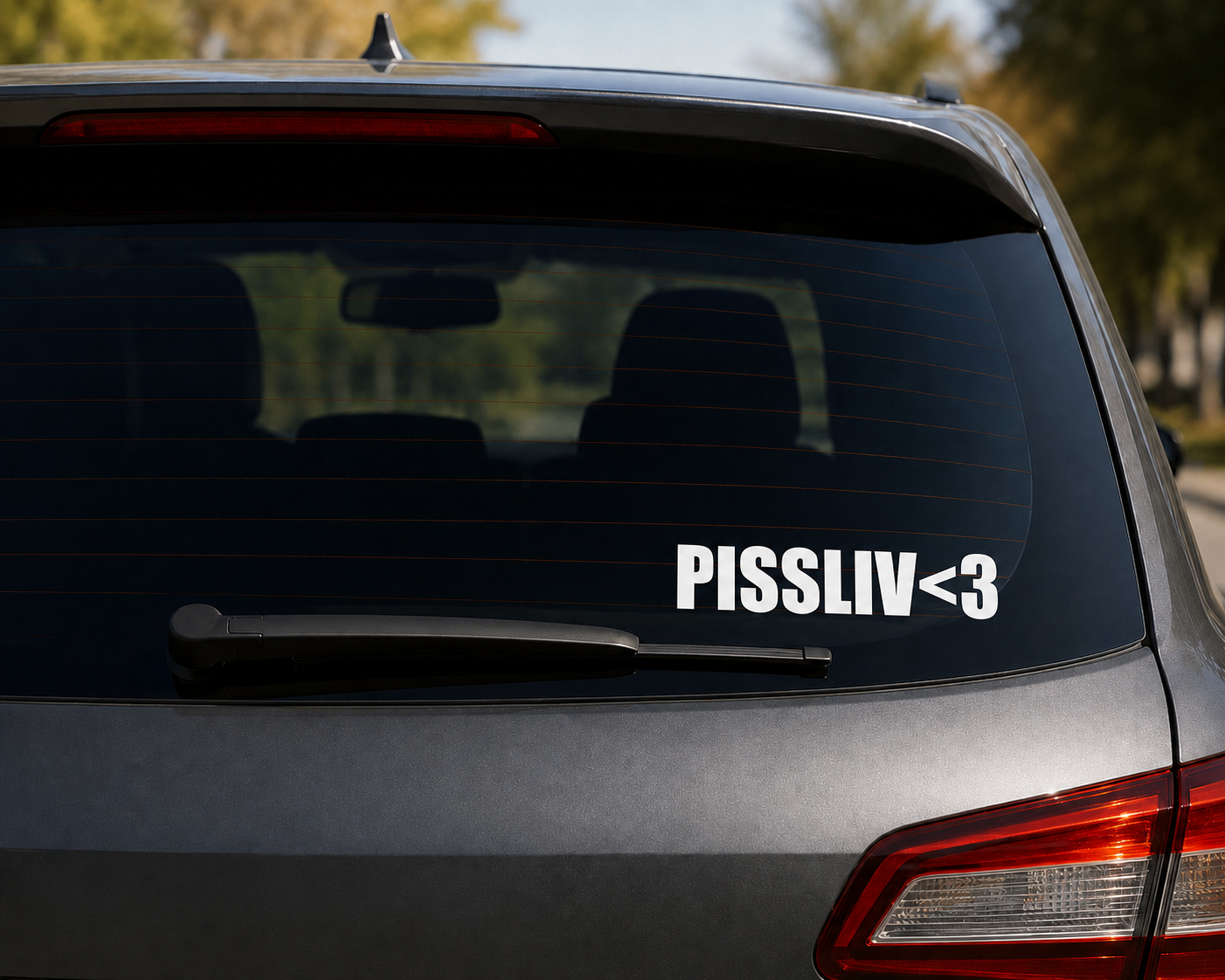 Dekal Pissliv<3