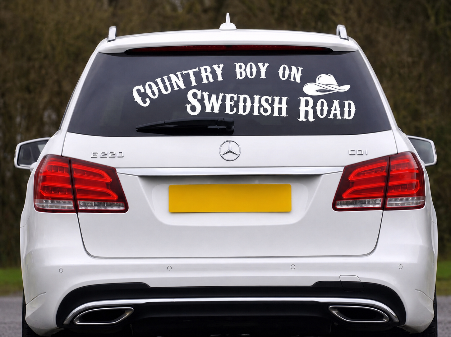 Dekal Country Boy On Swedish Road