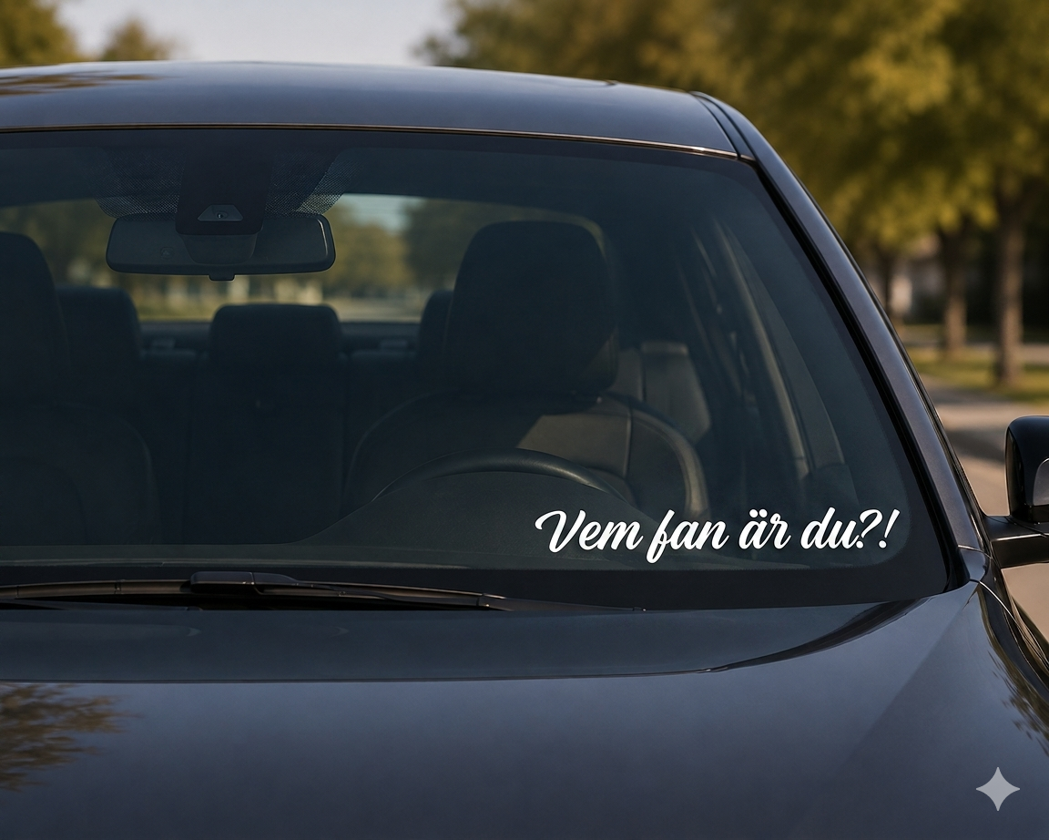 Vem fan är du?! Dekal