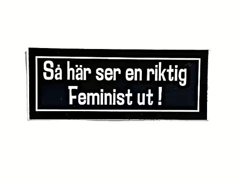Så här ser en riktig Feminist ut !