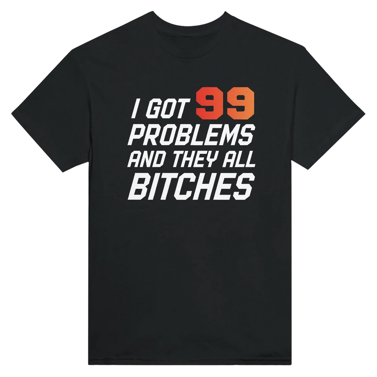 99 Problems, All Bitches T-Shirt