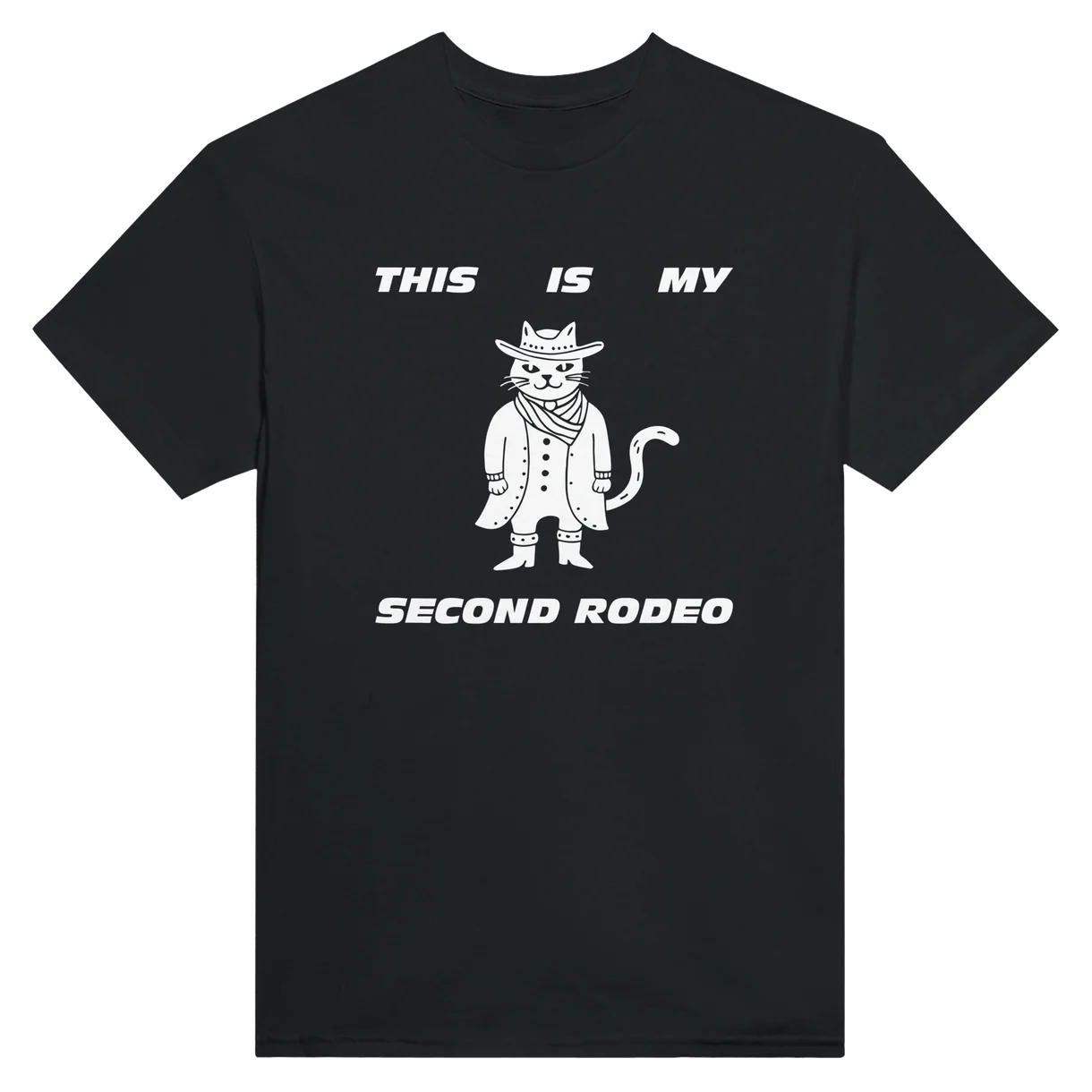 This Is My Second Rodeo T-Shirt
