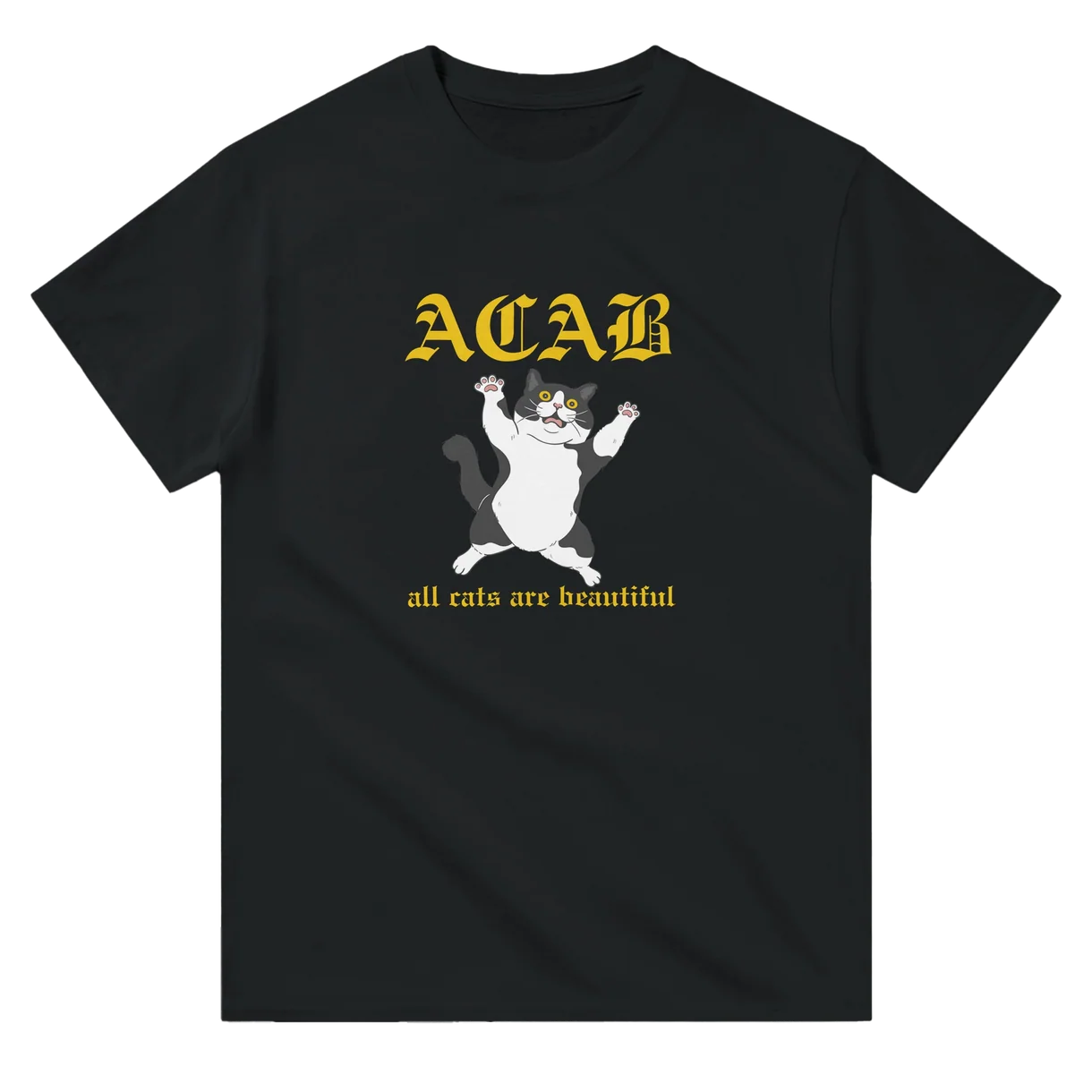 All Cats Are Beautiful T-Shirt