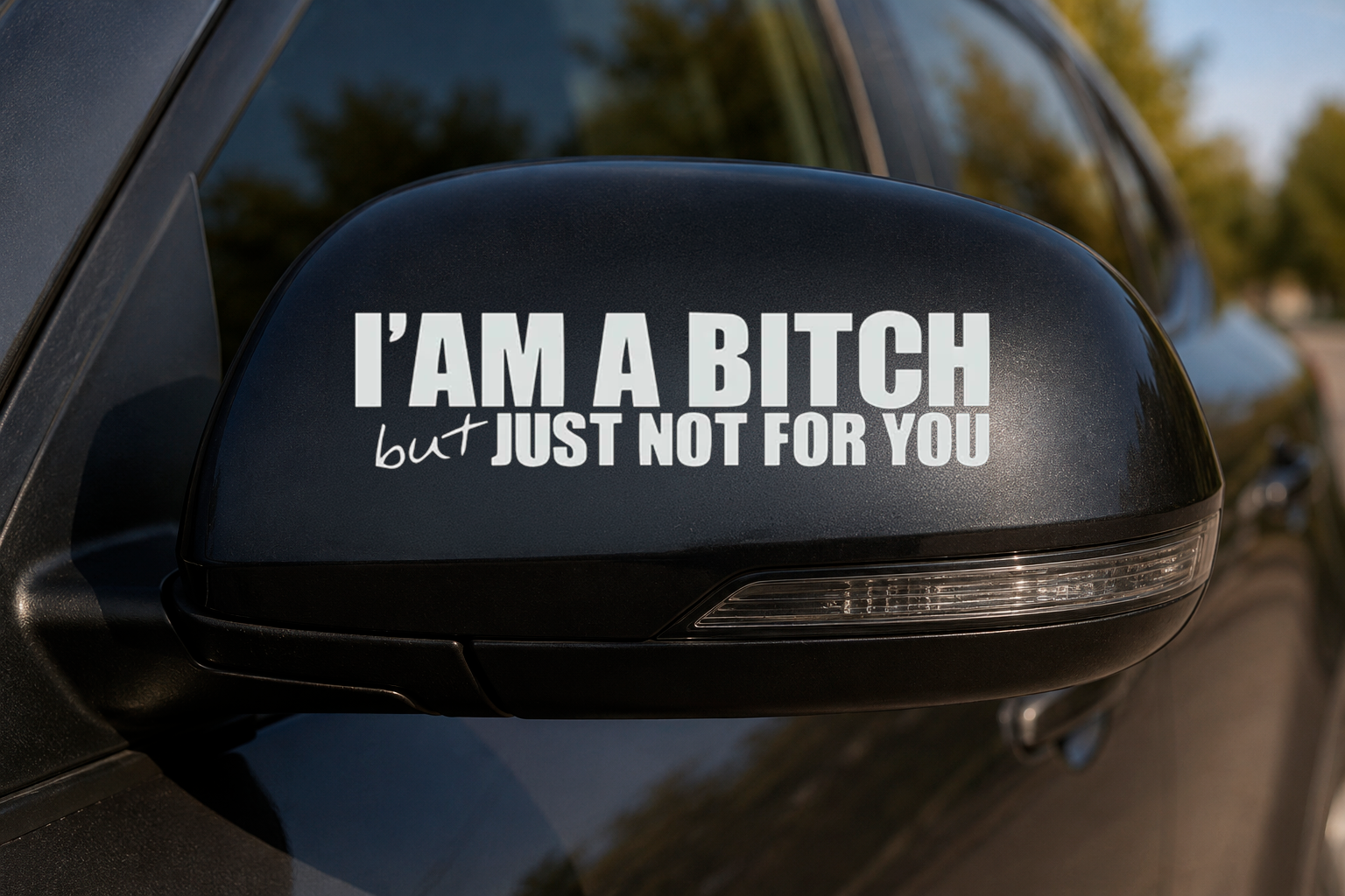 Dekal I’AM A BITCH