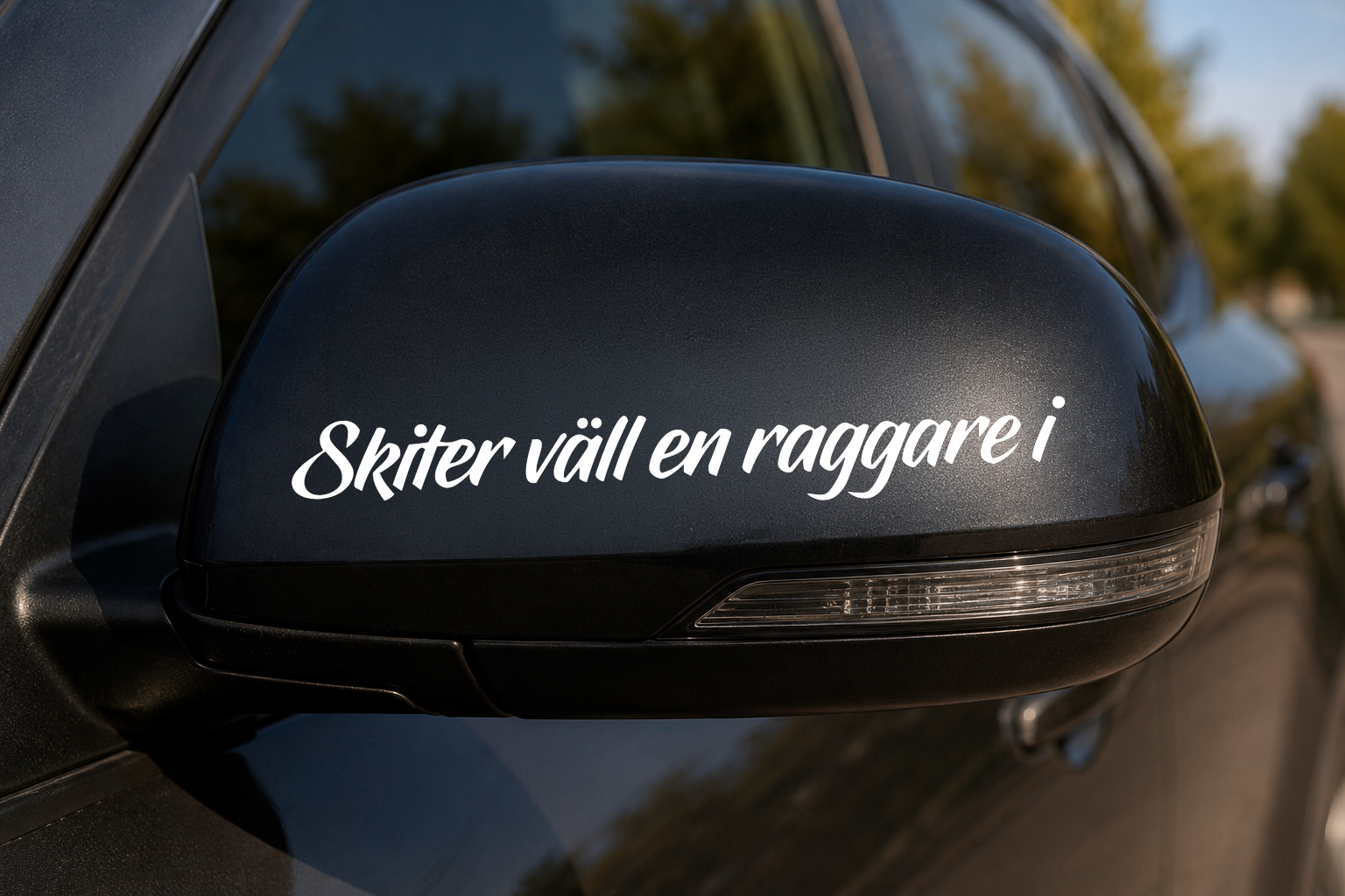 Dekal Skiter väll en raggare i
