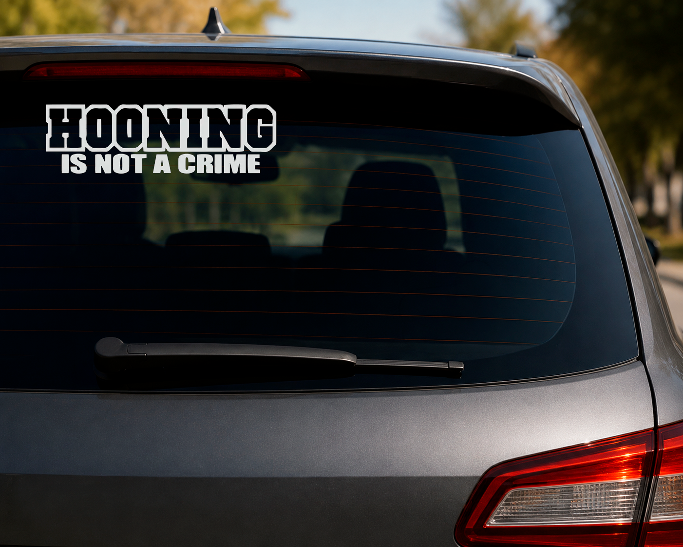 Dekal HOONING IS NOT A CRIME