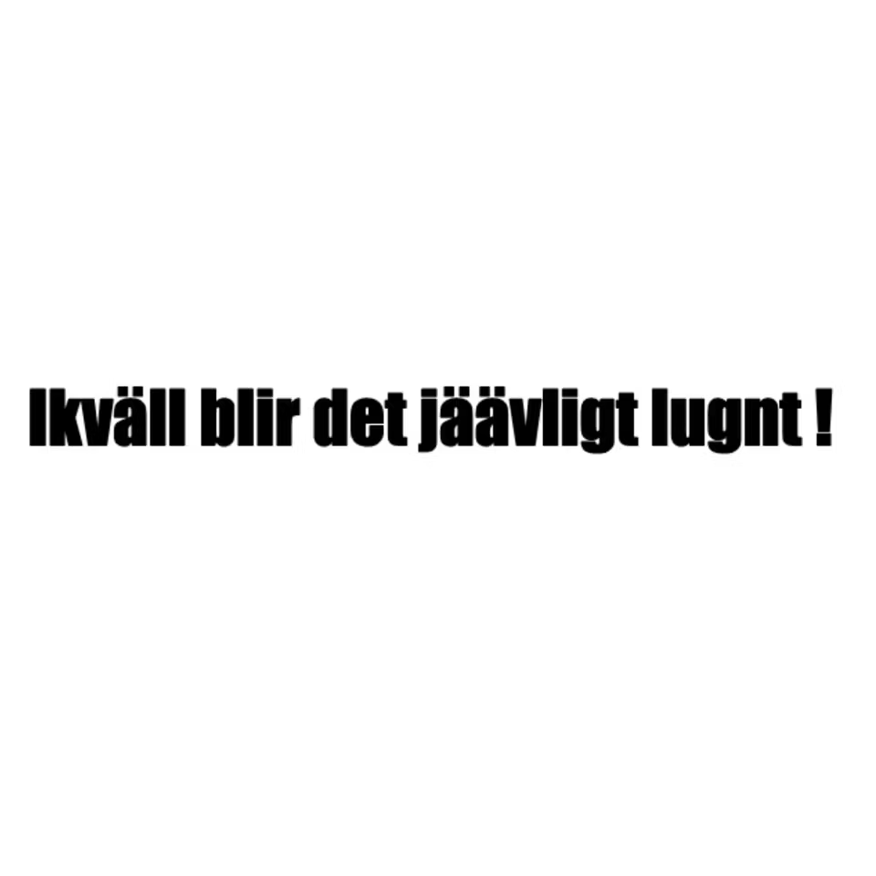 Dekal Ikväll blir det jäävligt lugnt !